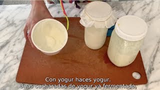 LOS BÚLGAROS NO PRODUCEN YOGUR fermentos mesófilos vs termófilos [upl. by Marsh]