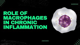 ROLE OF MACROPHAGES IN CHRONIC INFLAMMATIONMBBS PATHOLOGY NOTESCHRONIC INFLAMMATION [upl. by Nnylarac]