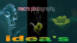 macro photography idea trending macro lens photography tips [upl. by Lednahs167]