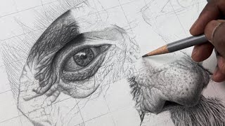 Old man skin Drawing Tutorial ✍️ [upl. by Libby56]