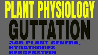 Guttation in plants [upl. by Ahsitnauq]