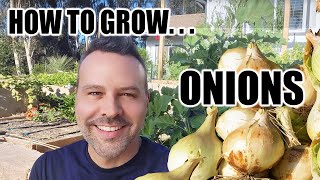 How to Grow Onions from Seed and From Transplants In Fall [upl. by Suter613]