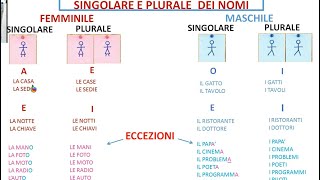 SINGOLARE E PLURALELEZIONE 10 [upl. by Libove]