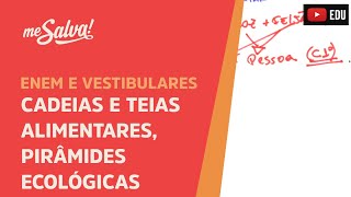 Me Salva ECO14  Ecologia  Cadeias e teias alimentares pirâmides ecológicas [upl. by Remo]