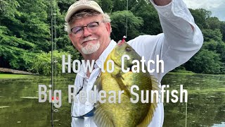 How to Catch Shellcrackers  Two Great Techniques for Big Redear Sunfish [upl. by Fachini]