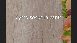 Cystoisospora canis [upl. by Ja826]