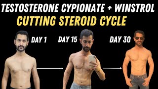 How to use Testosterone Cypionate amp Stanozolol Steroid Cycle for lean muscle gaining [upl. by Ahsykal]