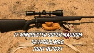 17 Winchester Super Magnum and Savage BMAG  Hunt Report [upl. by Ynots98]