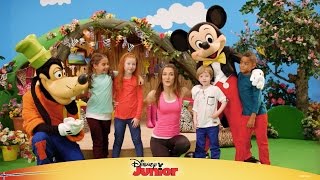 Mikkes Klubbhus danser Zoodansen  Disney Junior Norge [upl. by Siradal]