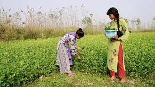 सरसो पत्ते और पालक से बनाये स्वादिस्ट चटनी जो रोटी के साथ खाने में होता है मजेदार  Saag Recipe [upl. by Zaneski517]