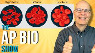 Essential for AP Bio Osmosis and Water Potential [upl. by Toh]