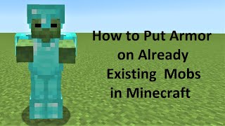 How to Put Armor on Already Existing Mobs in Minecraft [upl. by Merow]