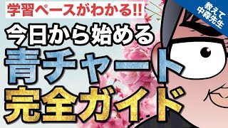 【数学の悩み解決】今日から始める青チャート 学習ペースを完全解説《一問一答》教えて中森先生 [upl. by Mylor]