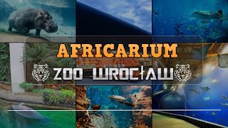 Oceanarium 🐟 Afrykarium 🐟Wroclaw 🐟Poland 🐟 WALKING TOUR [upl. by Brady]