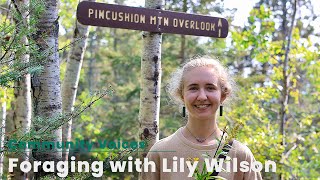 Foraging Medicinal Plants with Lily Wilson [upl. by Atilol]