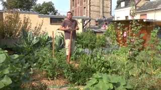 Mon jardin potager urbain permaculture Sept 2015 [upl. by Maire879]