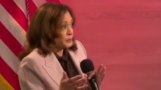 Kamala Harris repeats same old middle class story [upl. by Enyehc]