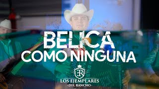 Bélica Como Ninguna  Los Ejemplares Del Rancho [upl. by Sylram201]