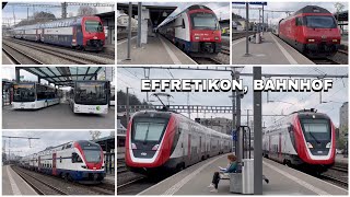 Züge beim Bahnhof Effretikon  Trains at Effretikon station 2023 [upl. by Speroni]