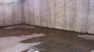 Everdry Waterproofing fixes wet moldy amp humid basements [upl. by Arlynne]