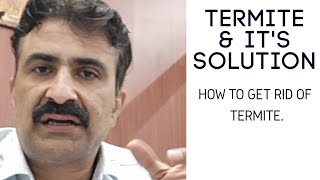 How to solve Termite Problem  Anti Termite Treatment  दीमक से कैसे छुटकारा पाए। [upl. by Chaves224]