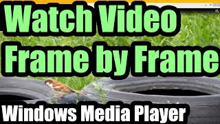 Watch video Frame by Frame Windows Media Player [upl. by Ettevy577]