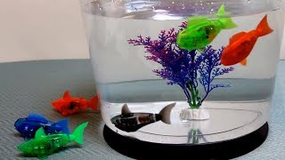 HexBug AquaBot 10  The Robotic Pet Toy that Really Swims  Fish amp Shark  Detailed hands on review [upl. by Eixela605]