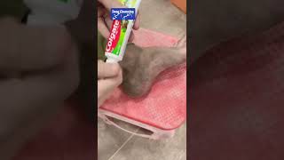 Colgate toothpaste Amazing Result ameenbeautytips GlowAndCleanByAmeen [upl. by Blossom782]