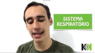 Fisiologia Animal  Sistema Respiratório [upl. by Hartman475]