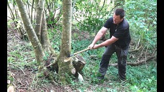 Can We Make A Chair From A Tree In A Day Hand Tools Only [upl. by Otreblanauj]