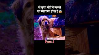 वो कुत्ता अपना फ़र्ज़ निभाता है  dog movie emotional shorts [upl. by Ahsaetal424]