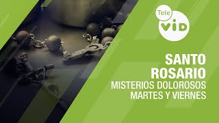 Santo Rosario 📿 Misterios Dolorosos  Martes y Viernes Tele VID SantoRosario TeleVID [upl. by Ruthe632]