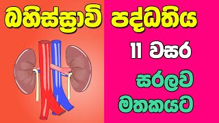 OL Science Sinhala  Grade 11 Science Unit 6 Part 3  Excretory System  බහිස්ස්‍රාවි පද්ධතිය [upl. by Kremer]