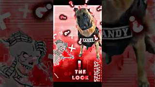 The look Tells Everything💀🐶 randy dog edit aura skullface trollface [upl. by Holli]