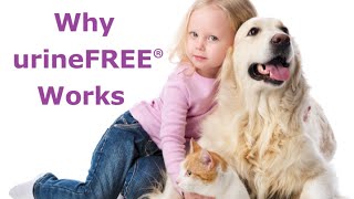 Why urineFREE Works Removing Urine Odours and Stains [upl. by Tirreg]