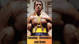 Arnold Schwarzenegger Workout Routine  McFitness [upl. by Akcemat904]