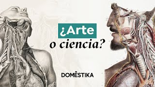 Historia del DIBUJO ANATÓMICO cómo unas simples ilustraciones revolucionaron la ciencia  Domestika [upl. by Eillime]