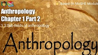 Anthropology Chapter 1  Part 2   Subfields of anthropology [upl. by Danette120]