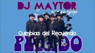 PESADO CUMBIAS DEL RECUERDO MIX DJ Maytor [upl. by Eicram]