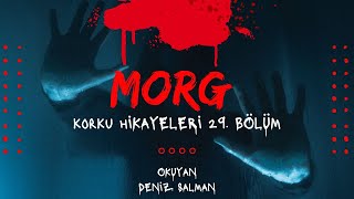 KORKU HİKAYELERİ 29 BÖLÜM quot MORGquot [upl. by Airotal]