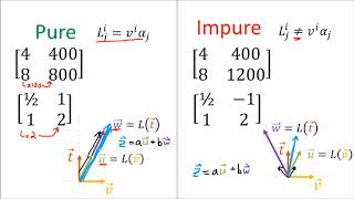 Tensors for Beginners 11 Linear maps are VectorCovector Pairs [upl. by Eelik]