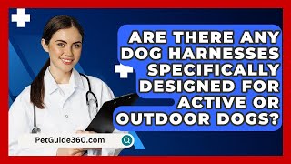 Are There Any Dog Harnesses Specifically Designed for Active or Outdoor Dogs  PetGuide360com [upl. by Theodoric]