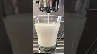 How To Solve The Issue With Your Jura end 9 Milk Frother System No Longer Frothing Part 2of 2 [upl. by Stephine573]