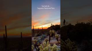 Saguaro Sunset [upl. by Nimrak]