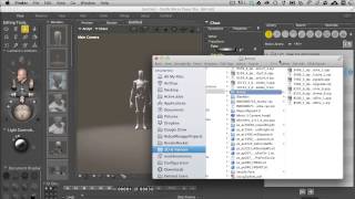 POSER Tutorial Lesson 2 Managing your Runtime [upl. by Langsdon643]