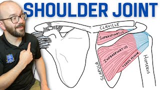 Anatomy of the Shoulder Joint  Bones Ligaments and Muscles [upl. by Mcafee908]