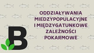 Oddziaływania międzygatunkowe Zależności pokarmowe  ekologia  KOREPETYCJE z BIOLOGII  137 [upl. by Aicilla]