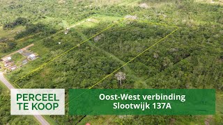 OostWest verbinding Slootwijk 137A • 49384 m² Perceel te Slootwijk  Commewijne Suriname [upl. by Koehler]