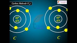 Bonding in Some Homonuclear Diatomic Molecules  Class 11 Chemistry Chapter 4 Chemical Bonding [upl. by Ahsemat]