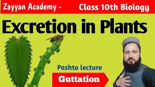 Excretion in plants  Ch11 Homeostasis  Class 10 Biology [upl. by Tichonn]